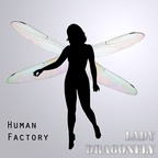Lady DragonFly - Human Factory