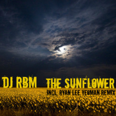 DJ RBM - The Sunflower