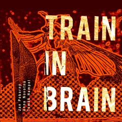 Jan Pokorný - Train In Brain