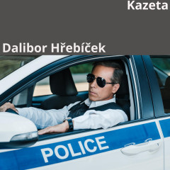 Dalibor Hřebíček - Kazeta